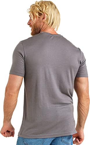 Men's Merino T-shirt 180 Perfect Grey