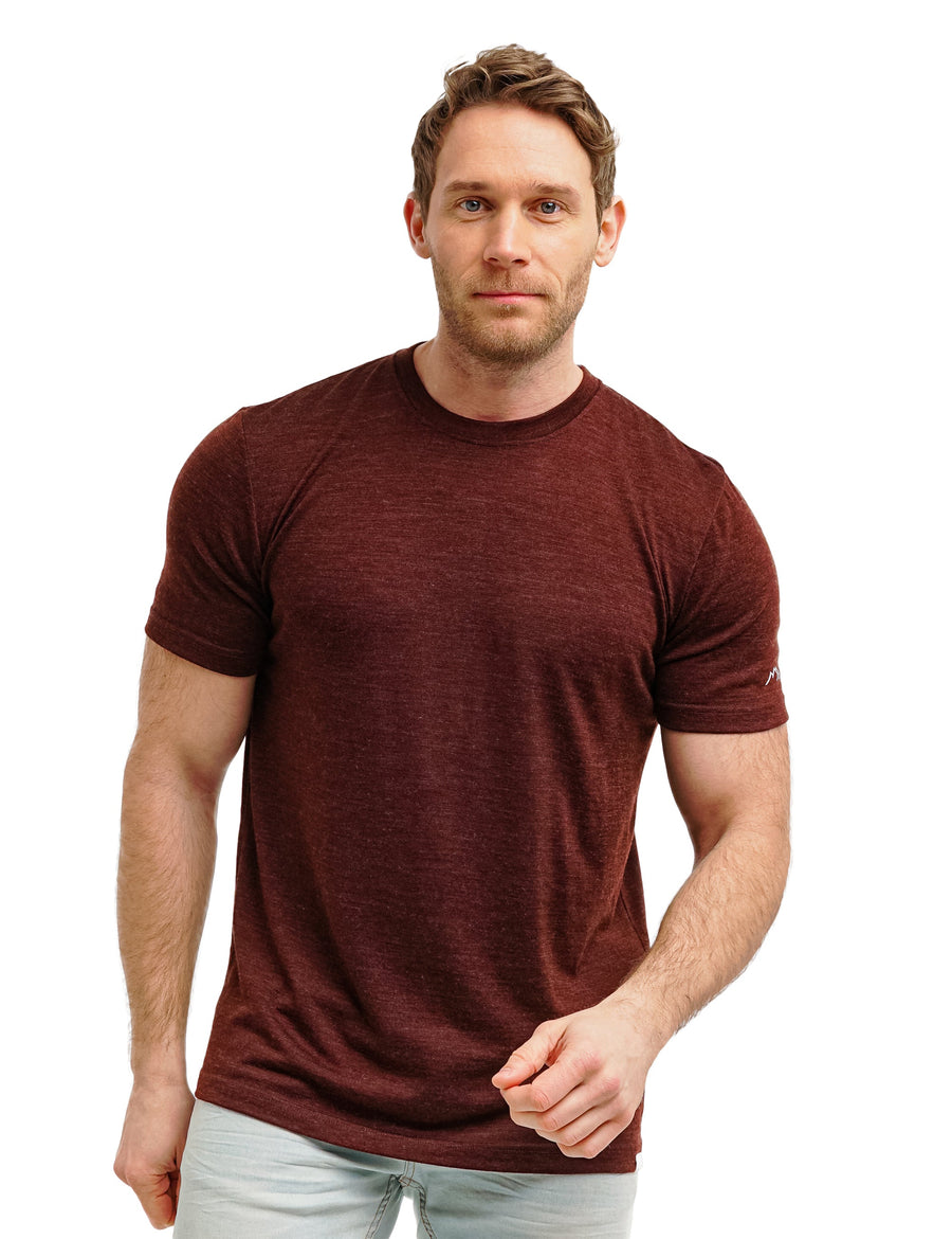 Men's Merino T-shirt 180 Bordo
